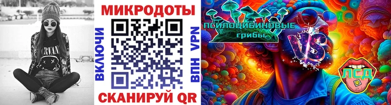 Купить где  Ревда  Псилоцибиновые грибы Magic Shrooms 